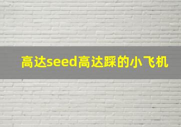 高达seed高达踩的小飞机