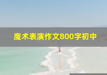 魔术表演作文800字初中