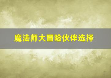 魔法师大冒险伙伴选择