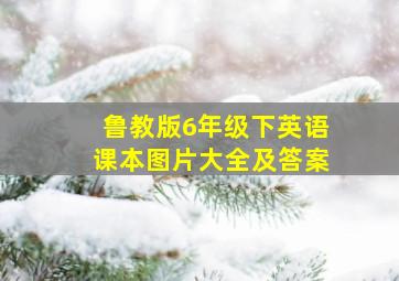 鲁教版6年级下英语课本图片大全及答案