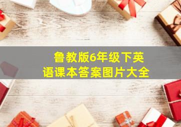 鲁教版6年级下英语课本答案图片大全