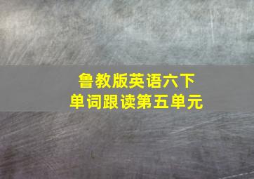 鲁教版英语六下单词跟读第五单元