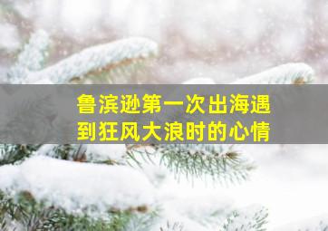 鲁滨逊第一次出海遇到狂风大浪时的心情