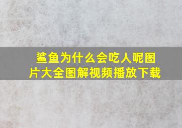 鲨鱼为什么会吃人呢图片大全图解视频播放下载