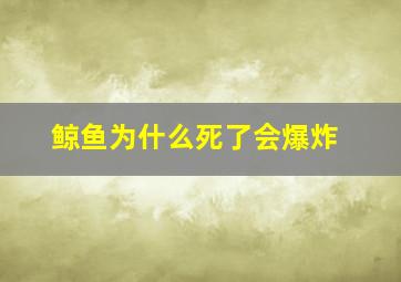 鲸鱼为什么死了会爆炸