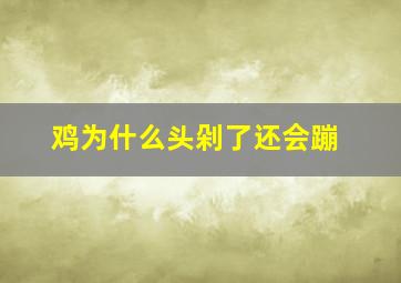 鸡为什么头剁了还会蹦