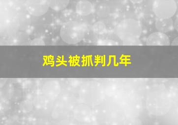 鸡头被抓判几年