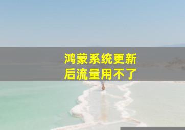 鸿蒙系统更新后流量用不了