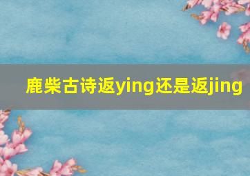 鹿柴古诗返ying还是返jing