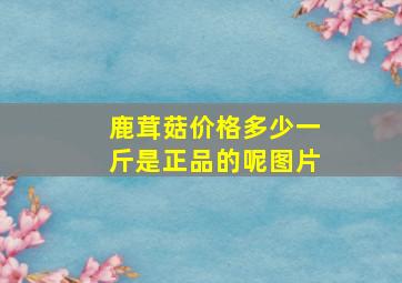 鹿茸菇价格多少一斤是正品的呢图片