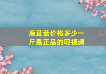 鹿茸菇价格多少一斤是正品的呢视频