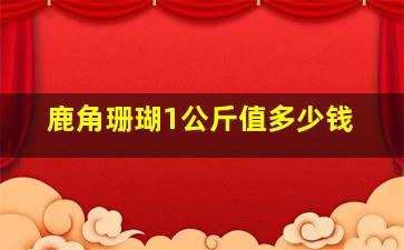 鹿角珊瑚1公斤值多少钱