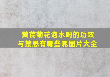 黄芪菊花泡水喝的功效与禁忌有哪些呢图片大全