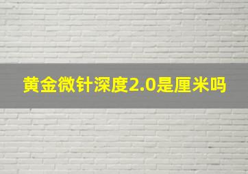 黄金微针深度2.0是厘米吗