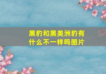 黑豹和黑美洲豹有什么不一样吗图片