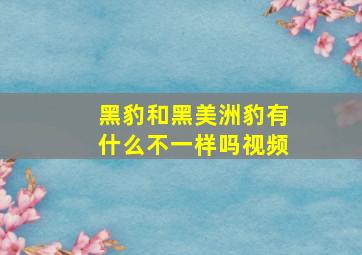 黑豹和黑美洲豹有什么不一样吗视频