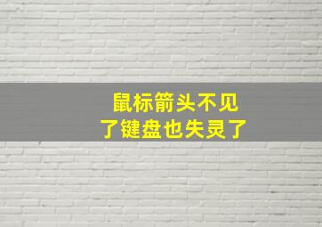 鼠标箭头不见了键盘也失灵了