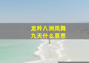 龙吟八洲凤舞九天什么意思