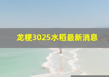 龙粳3025水稻最新消息