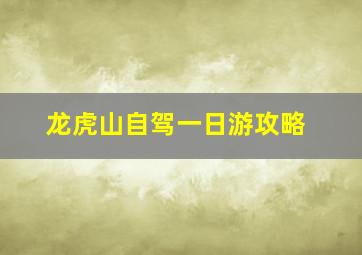 龙虎山自驾一日游攻略