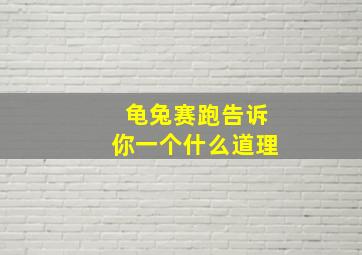 龟兔赛跑告诉你一个什么道理