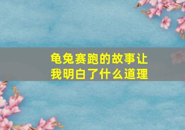 龟兔赛跑的故事让我明白了什么道理