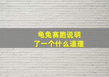 龟兔赛跑说明了一个什么道理