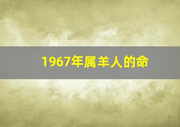 1967年属羊人的命