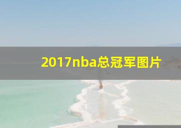 2017nba总冠军图片