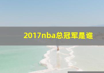 2017nba总冠军是谁