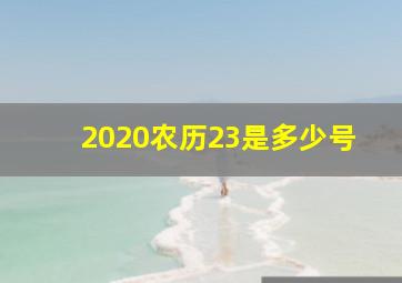 2020农历23是多少号