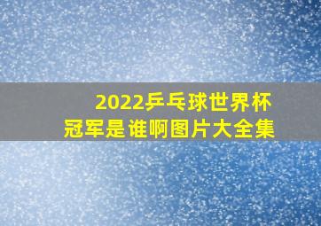 2022乒乓球世界杯冠军是谁啊图片大全集