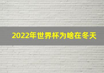 2022年世界杯为啥在冬天