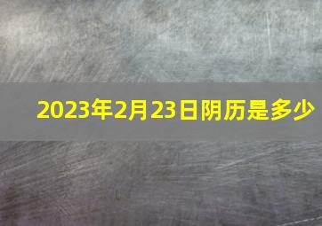 2023年2月23日阴历是多少