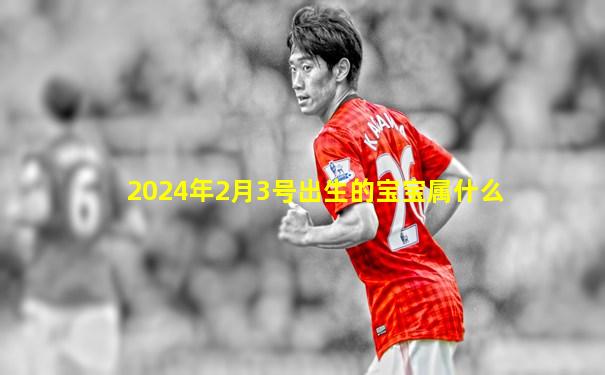 2024年2月3号出生的宝宝属什么