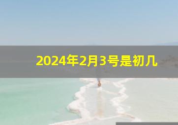 2024年2月3号是初几