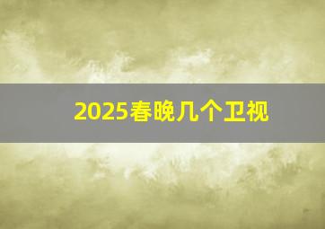 2025春晚几个卫视