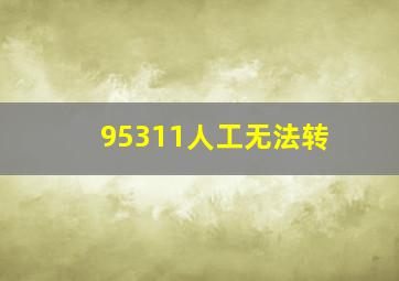 95311人工无法转