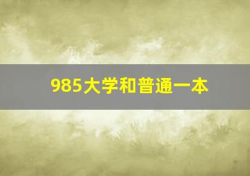 985大学和普通一本