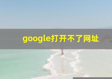 google打开不了网址