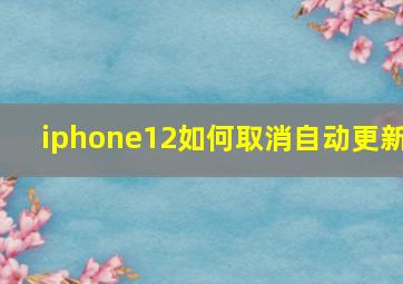 iphone12如何取消自动更新