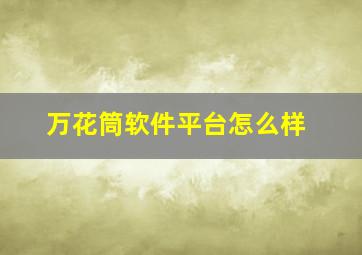 万花筒软件平台怎么样