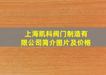 上海凯科阀门制造有限公司简介图片及价格