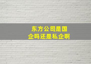 东方公司是国企吗还是私企啊