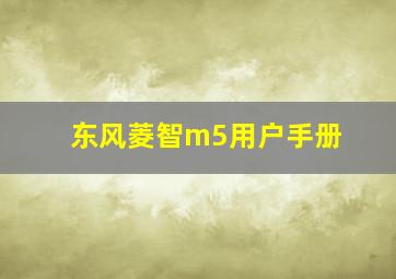 东风菱智m5用户手册