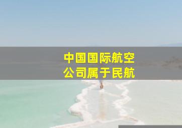 中国国际航空公司属于民航