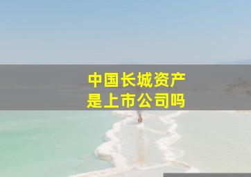 中国长城资产是上市公司吗