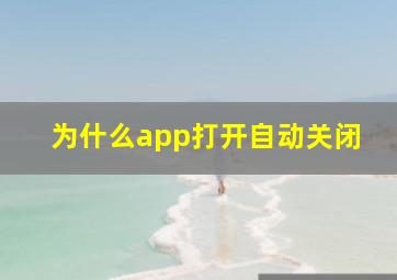 为什么app打开自动关闭