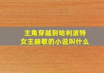 主角穿越到哈利波特女主赫敏的小说叫什么