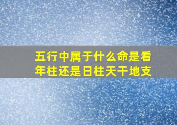 五行中属于什么命是看年柱还是日柱天干地支